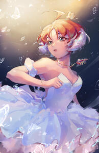 princess tutu princess tutu